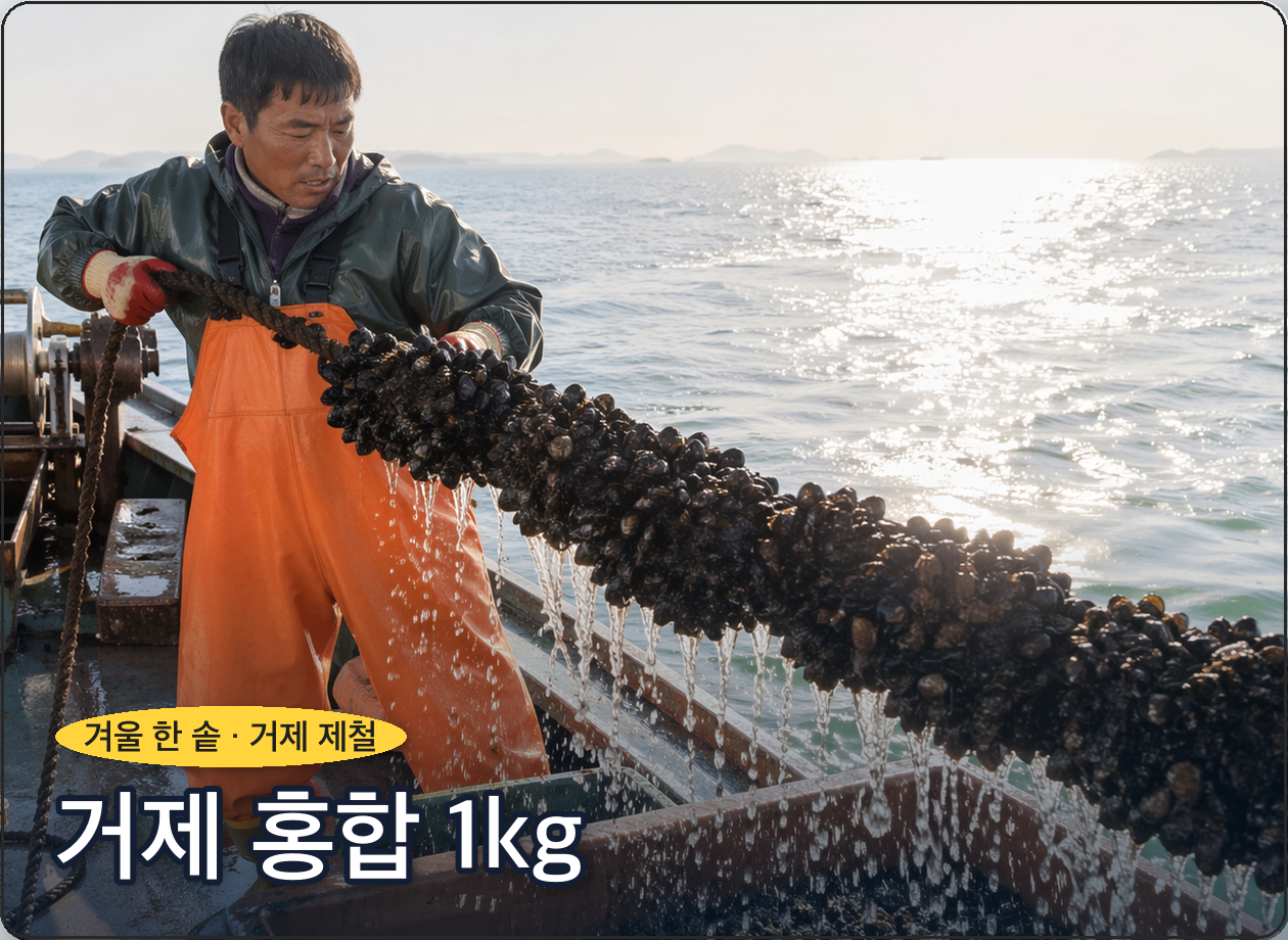 거제 홍합 1kg
